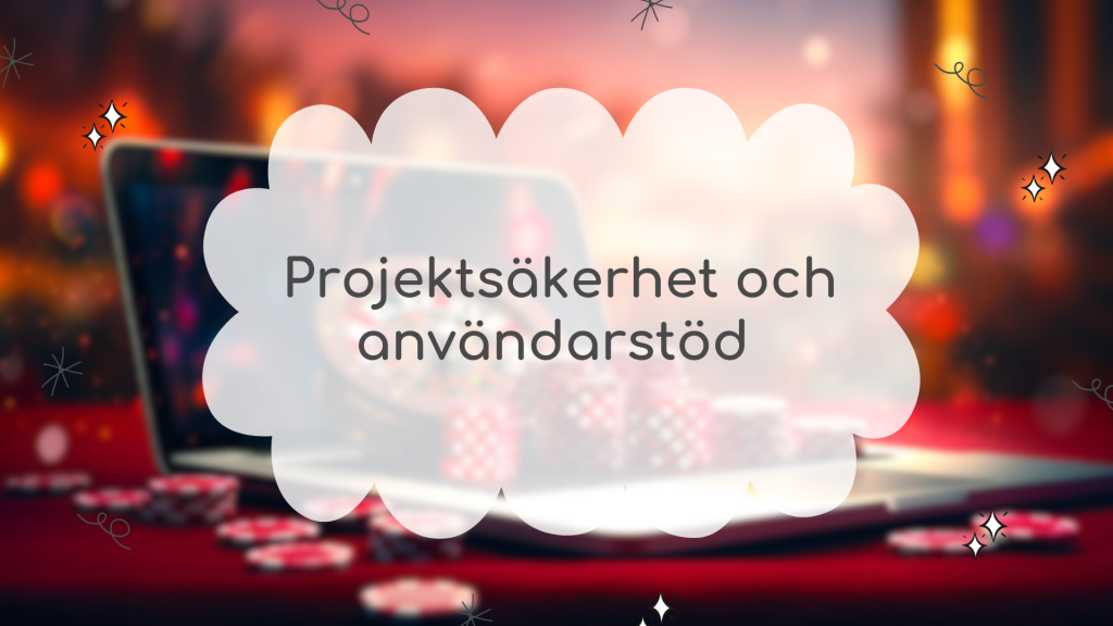 Projektsäkerhet och användarstöd